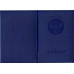 Диплом бакалавра 2004-2008