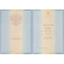 Диплом специалиста 2009-2010