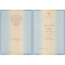Диплом специалиста 2009-2010