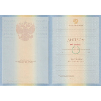 Диплом специалиста 2009-2010