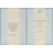 Диплом бакалавра 2011