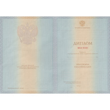 Диплом бакалавра 2012-2013