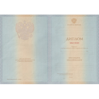 Диплом бакалавра 2012-2013