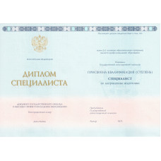 Диплом специалиста 2013