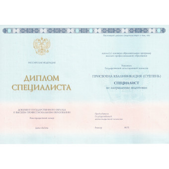 Диплом специалиста 2013