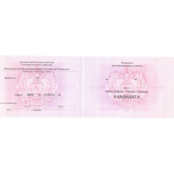 Диплом кандидата наук 2013-2025